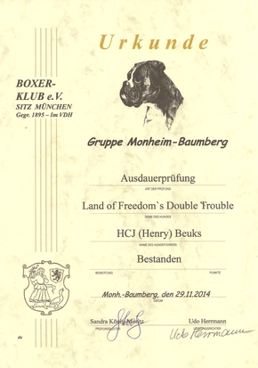 AD (Ausdauer) diploma voor Land of Freedom's Double Trouble