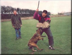 Henry Beuks met Boxer Donald tijdens zijn eerste IPO 1 examen (1993) bij de DVIN in Amersfoort 
